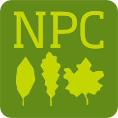 Nyack Park Conservancy logo